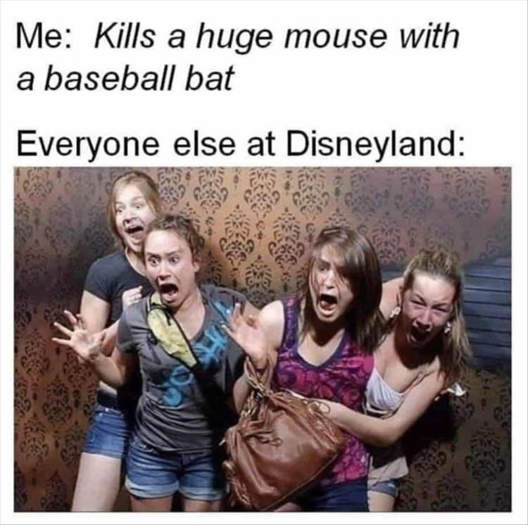 you-get-the-mouse.jpg