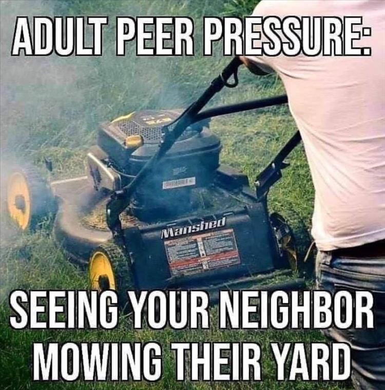 you-mow-the-lawn.jpg