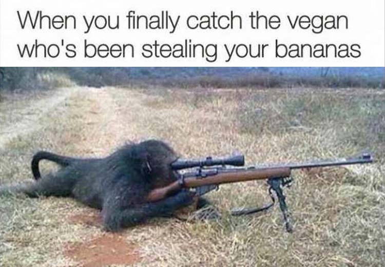 your-bananas.jpg