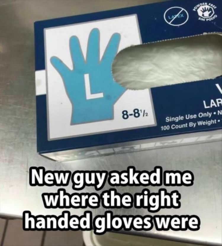 your-gloves.jpg