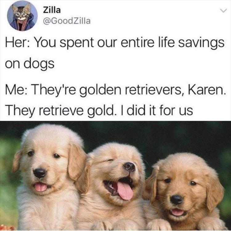 your-golden-retriever.jpg