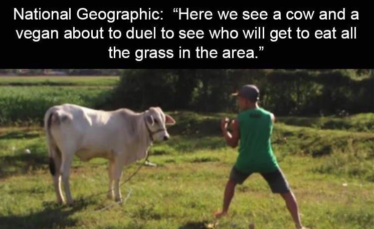 z-cow.png