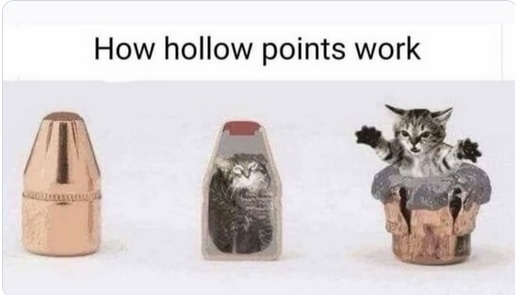z-points.jpg
