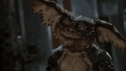 tenor-1925530051.gif