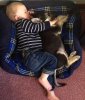 reddit-boy-dog-nap-viral-1357662149.jpg