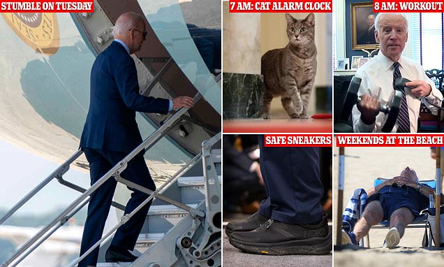 www.dailymail.co.uk