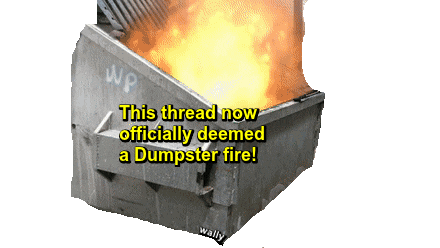 trans.gif