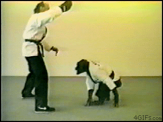 chimp-karate-kick-win.gif
