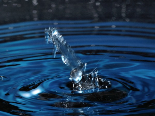 40bb9__Liqud-Water-Sculpture-Horse-600x450.jpg