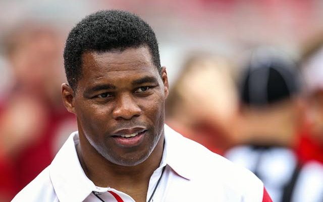 Herschel-Walker-NFL.final.jpg