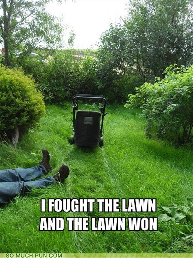 lawn-mower.jpg