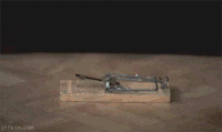 200w.gif