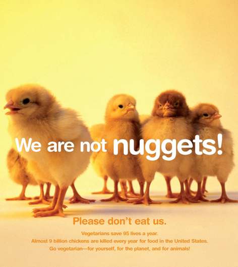 nugget472.jpg