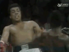 8Eup943BRqxbO.gif