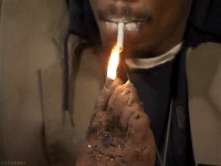 200w.gif