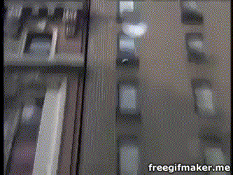 1526005941772532.gif