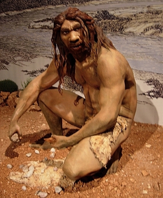 Homo_heidelbergensis_(10233446).jpg