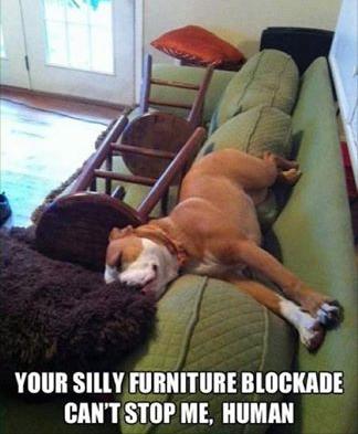 silly-furniture-blockade-funny-photo.jpg