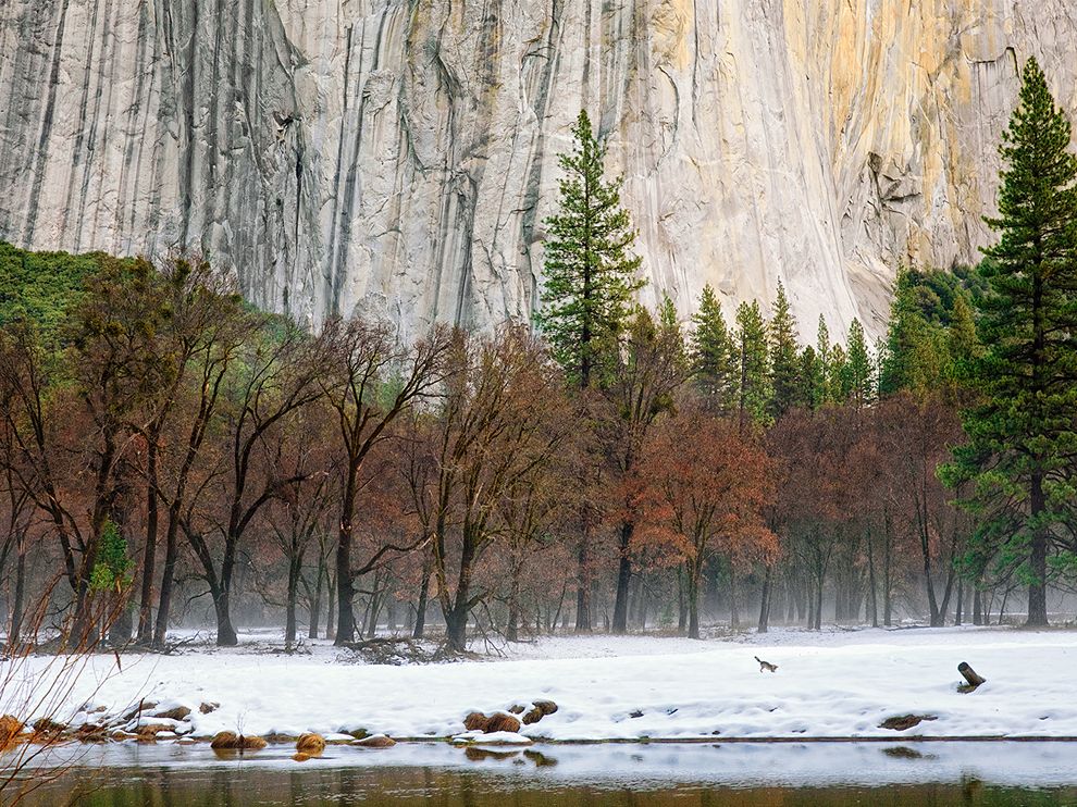 winter-morning-yosemite_60645_990x742.jpg