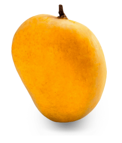 ALPHONSO-MANGOES-min.png