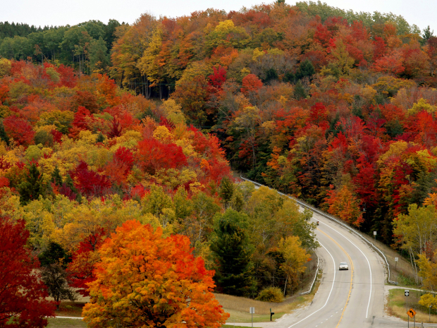 fallcolors_AP193854175219_620x465.jpg