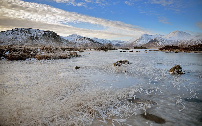 winter-rannoch-moo_2426584k.jpg