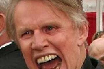 Gary_Busey1350147492.jpg