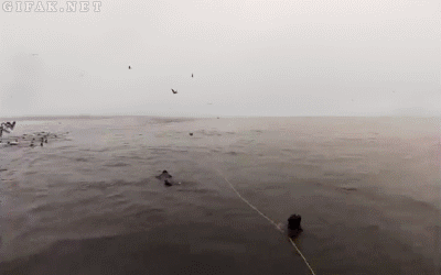 1375966297_131.gif