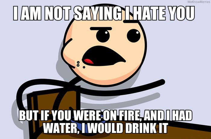 i-am-not-saying-i-hate-you-but.jpg