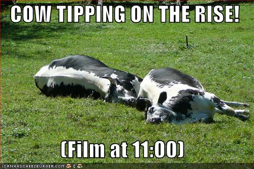 cow+tipping1.jpg