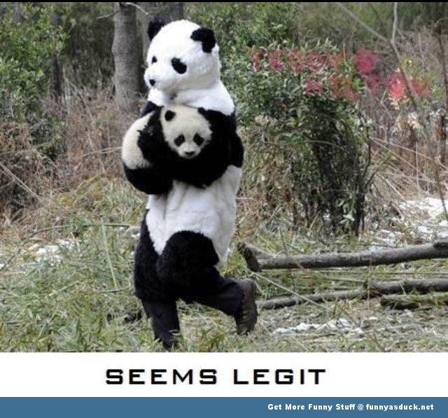 Funny-Panda-Kidnapping.jpg