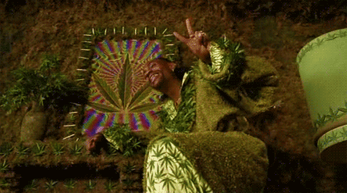 giphy.gif