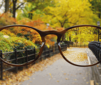 320x270-centra-park-autumn-through-glasses-gif.gif