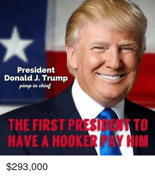 president-donald-j-trump-pimp-in-chief-the-first-president-38556216.png