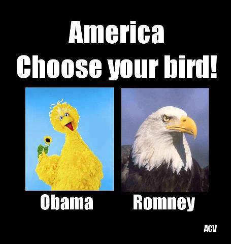 choosebird.jpg