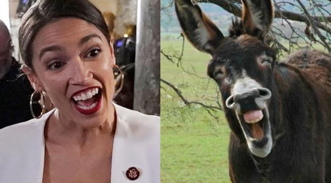 aoc-and-donkey-braying-jpg.236096