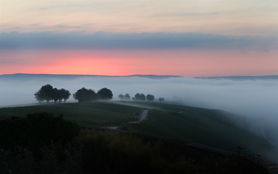 pb-120920-fog-sunrise-ps_photoblog900_zps9731468f.jpg