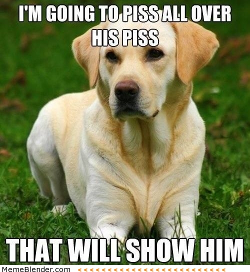 dog-logic.jpg