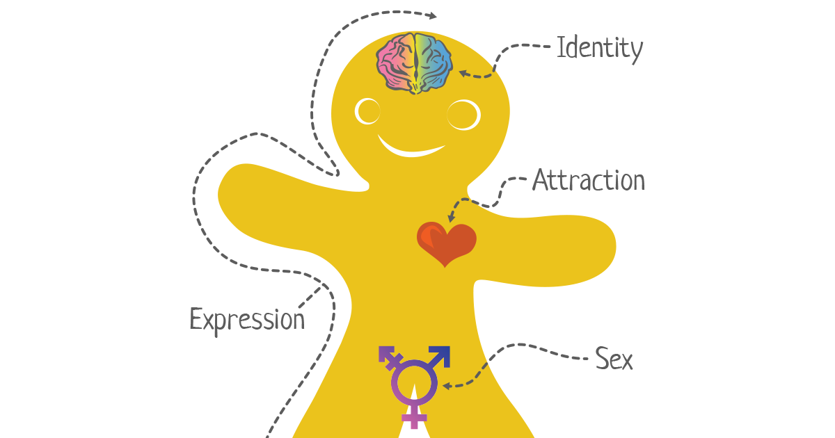 www.genderbread.org