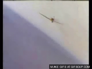 shot-down-o.gif
