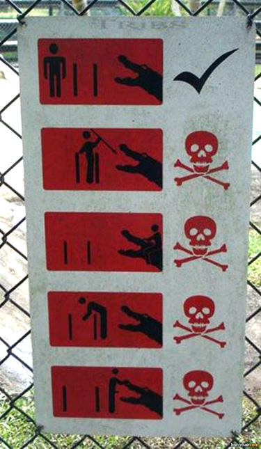 signs_cant_be_explained_2.jpg