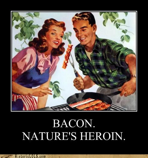 funny-pictures-history-bacon-natures-heroin.jpg