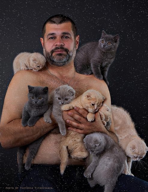 bear-with-kittens-photo-u1.jpg