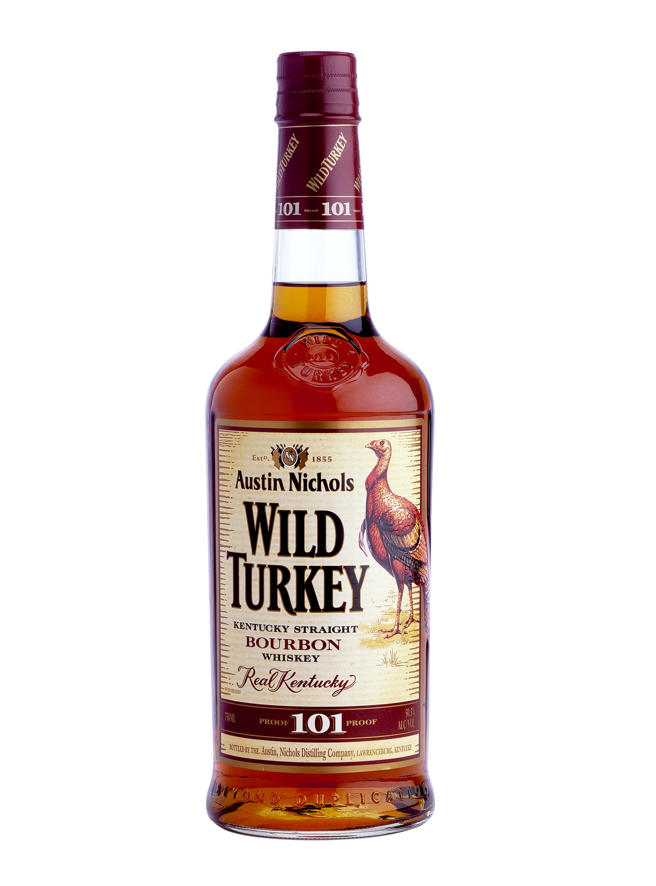 wild_turkey_101.jpg