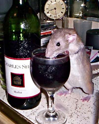 rat-wine.jpg