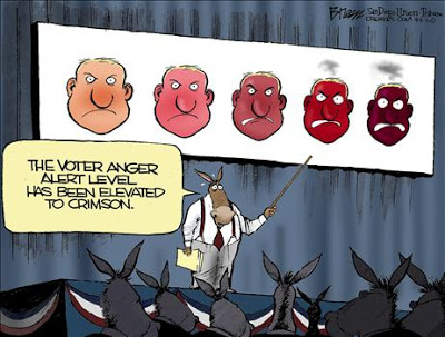 VOTER+ANGER,+OBAMACARTOON.jpg