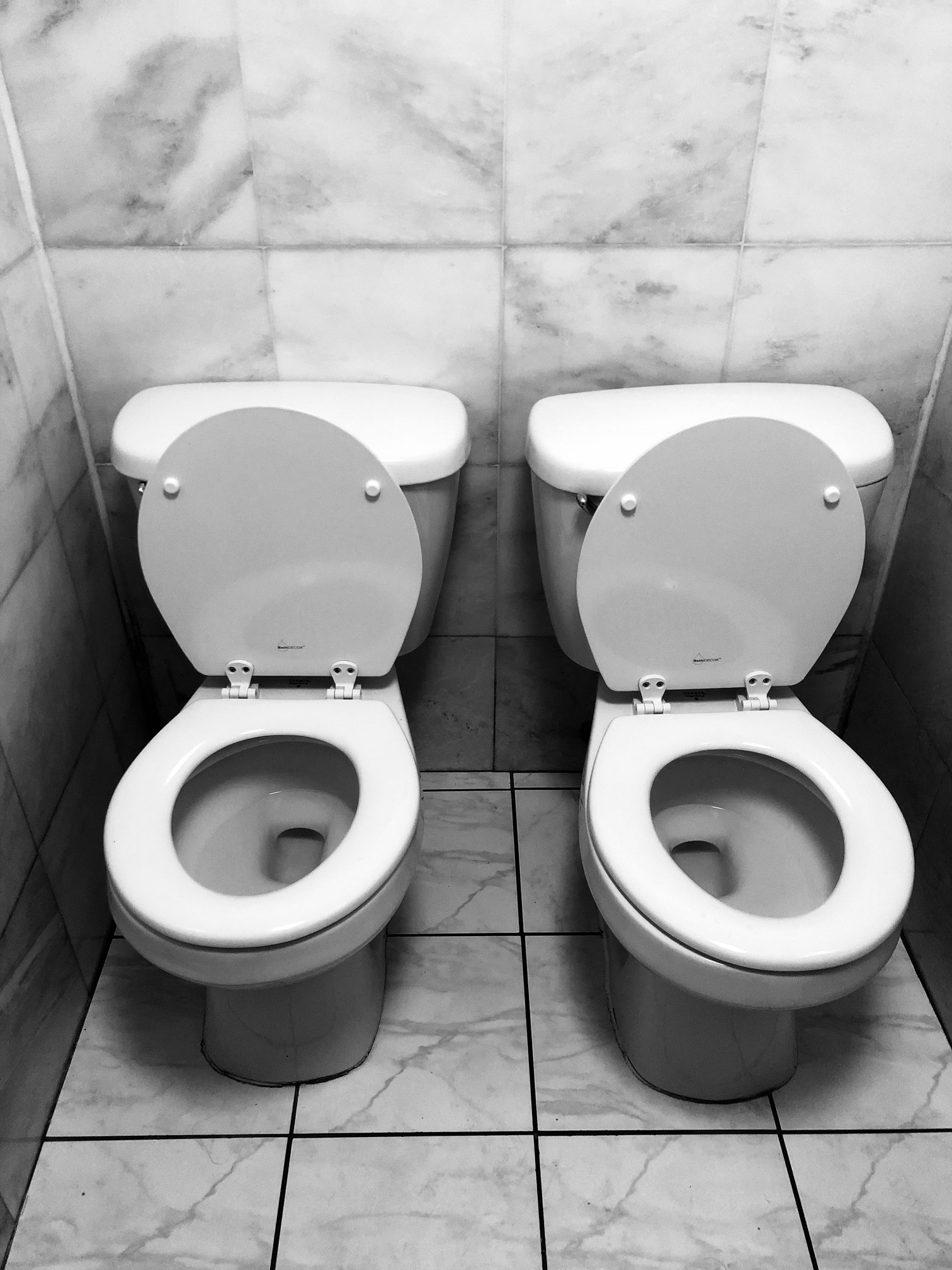 two-toilets-bw.jpg