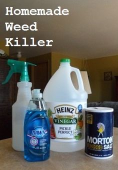 3874a0f28b74c2b7728ebbbeddff87d0.jpg