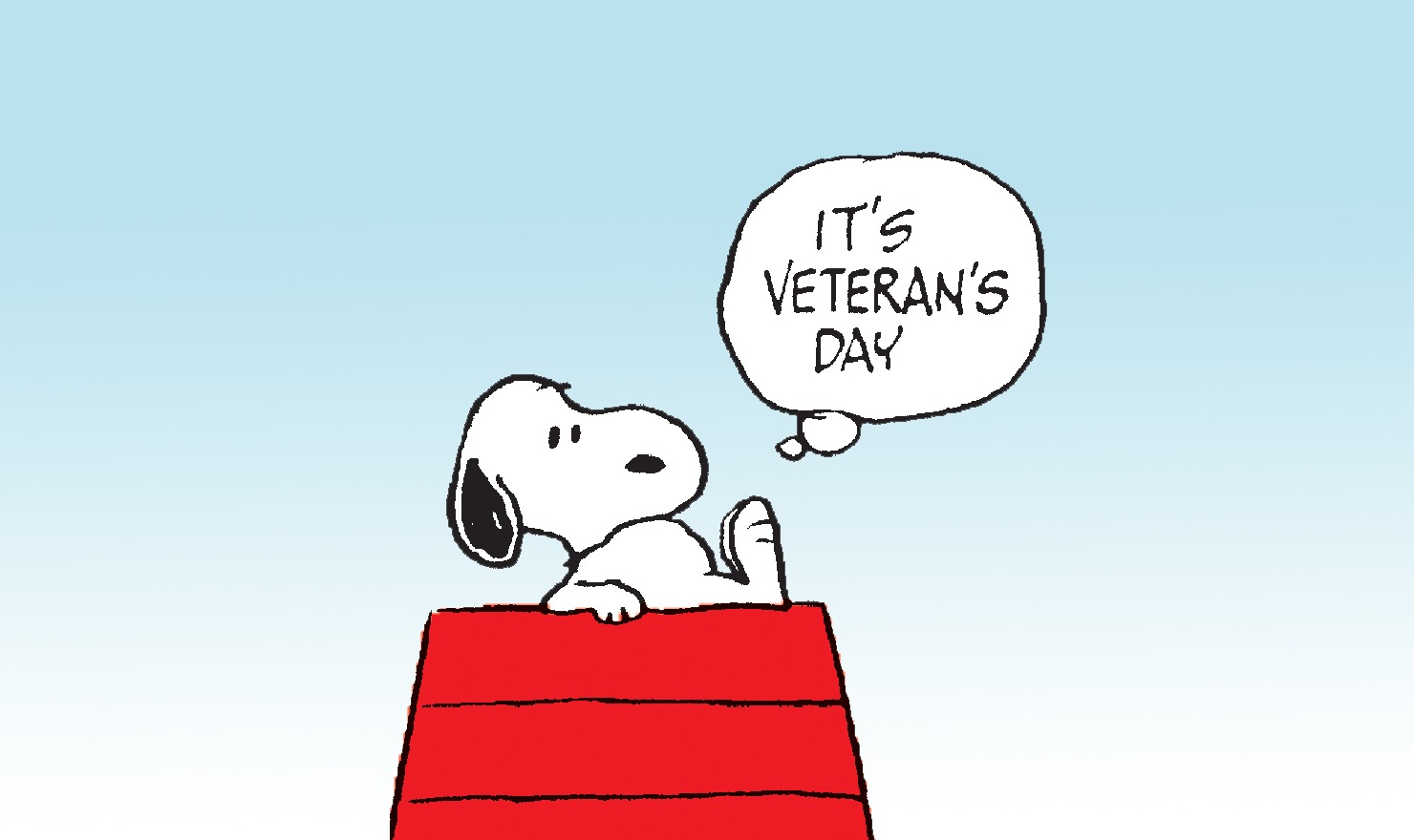 blog_image_3501_2055_peanuts_Veterans_Day.jpg