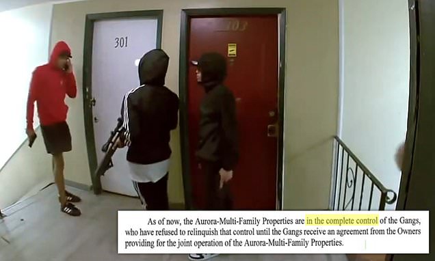 www.dailymail.co.uk